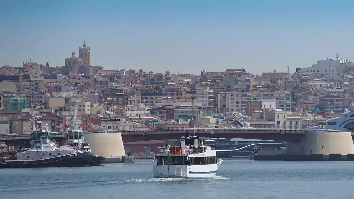 Pla general d'una golondrina davant el Port de Tarragona