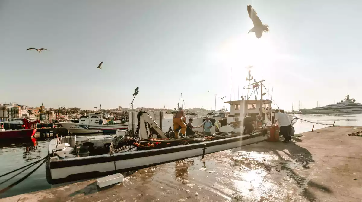 Pescadors al Serrallo.