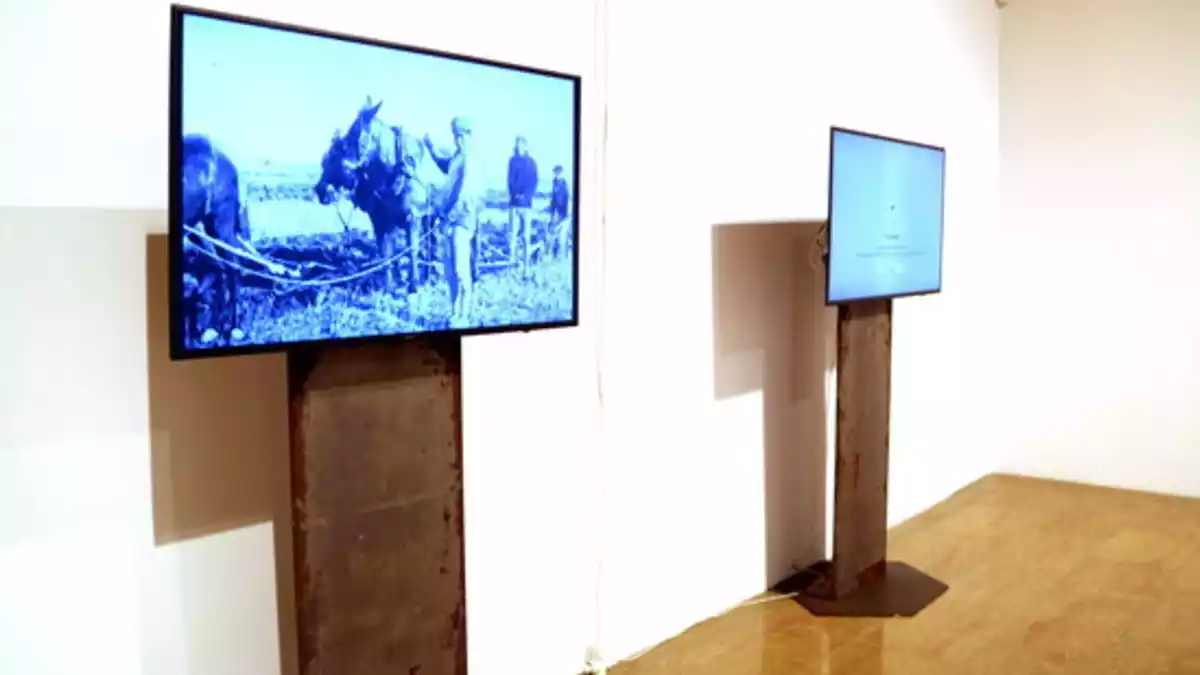 Pla general de l'espai amb pantalles al Museu de l'Ebre d'Amposta on es projecten les video-creacions d'Oriol Gracià que acompanyen l'exposició sobre el paludisme al Delta