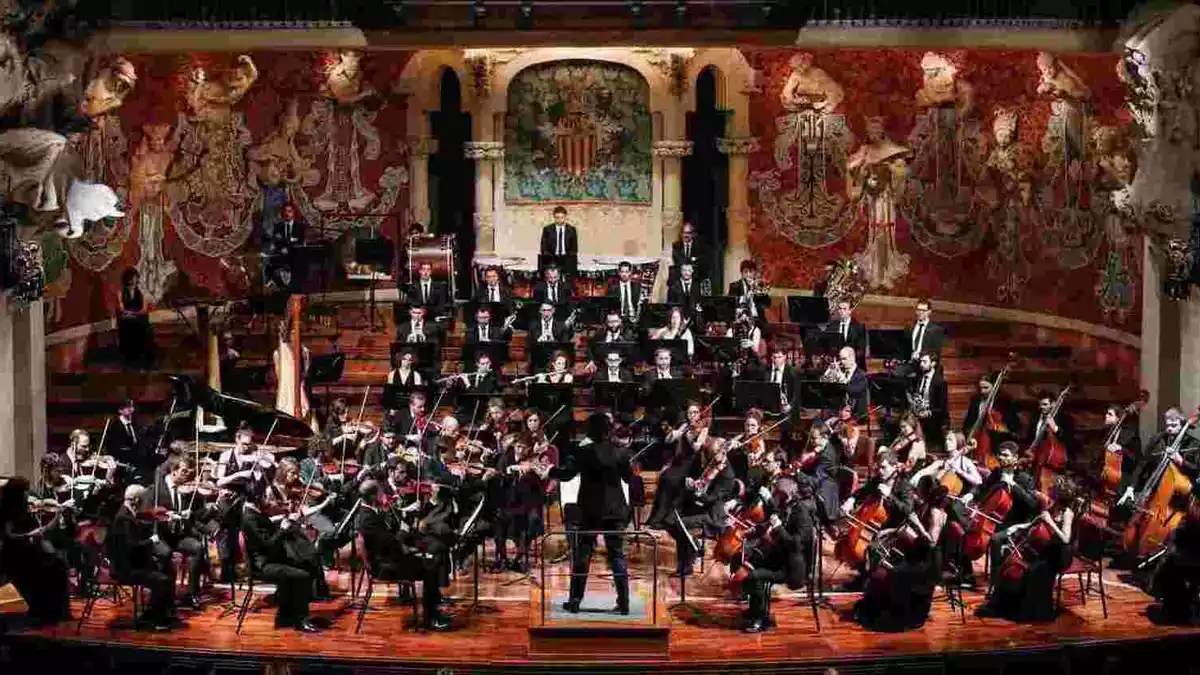 L'Orquestra Camera Musicae.