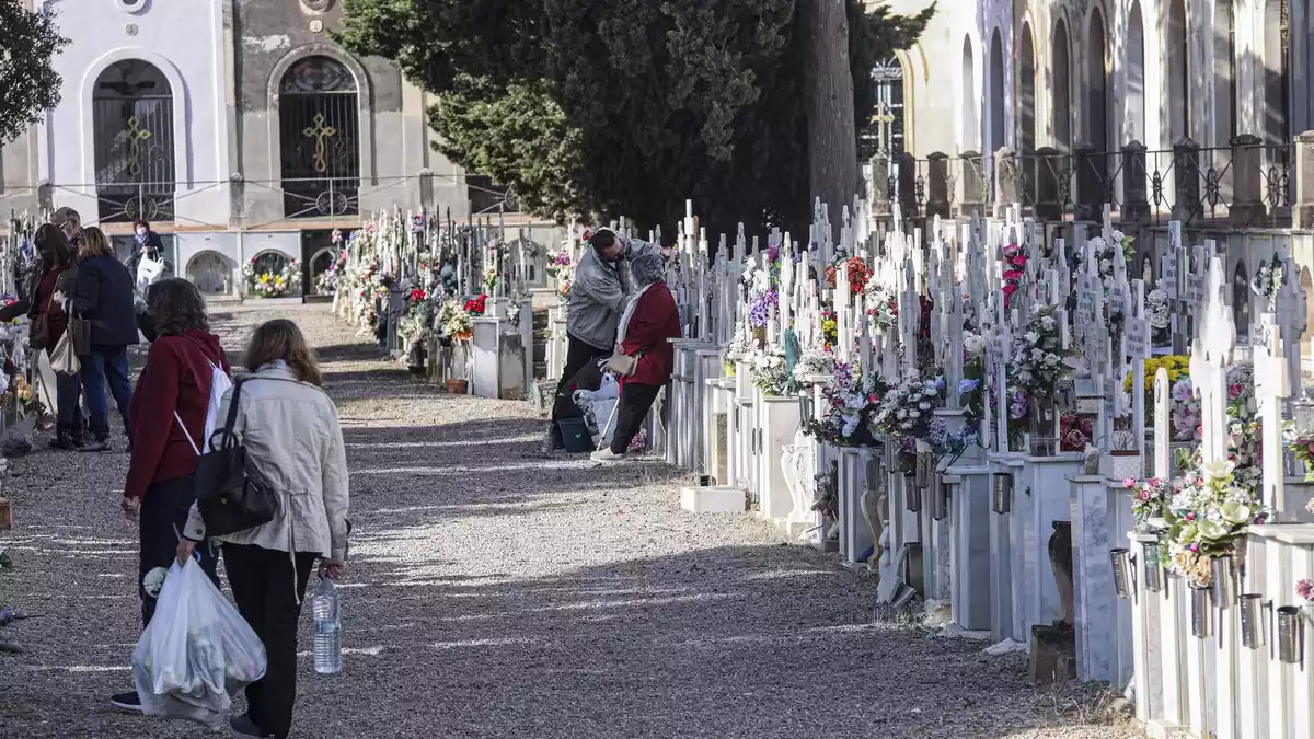 El cementiri de Reus amb diversos grups de persones arranjant els nínxols i les tombes