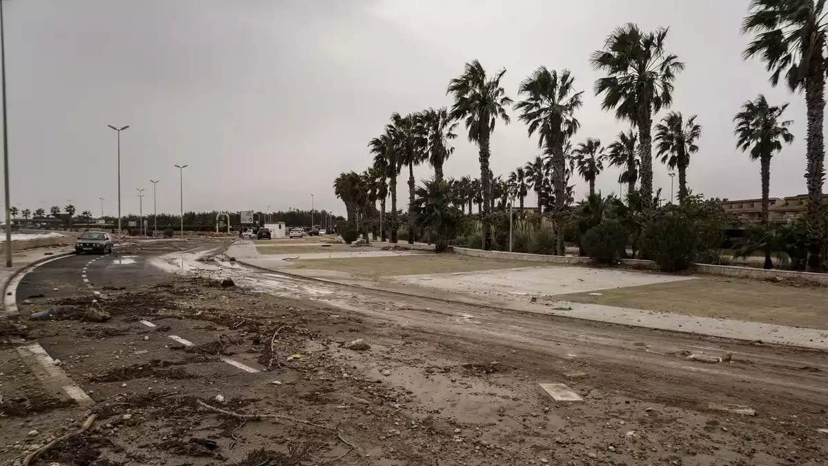 El paisatge desolador al Delta de l'Ebre després dels aiguats en imatges