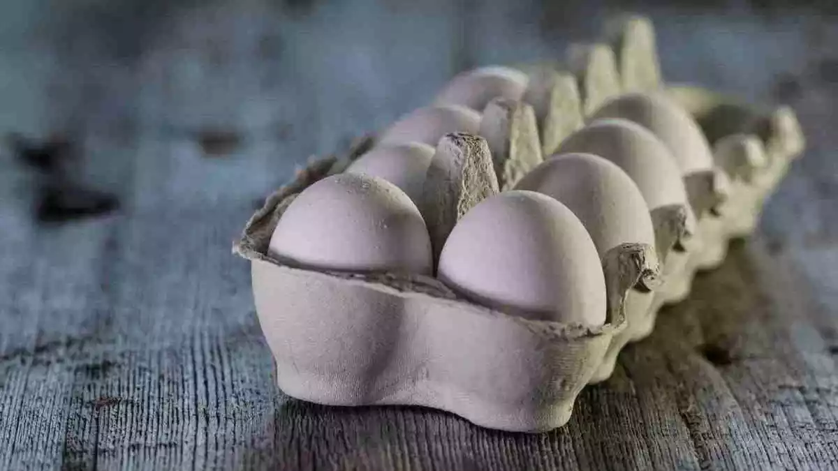 Imatge d'un cartró d'ous blanc sobre un taula