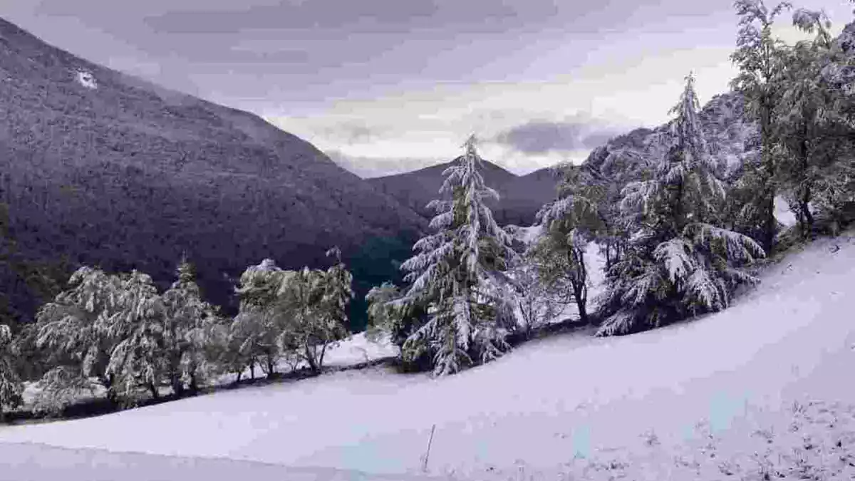 Imatge d'una nevada al Pirineu