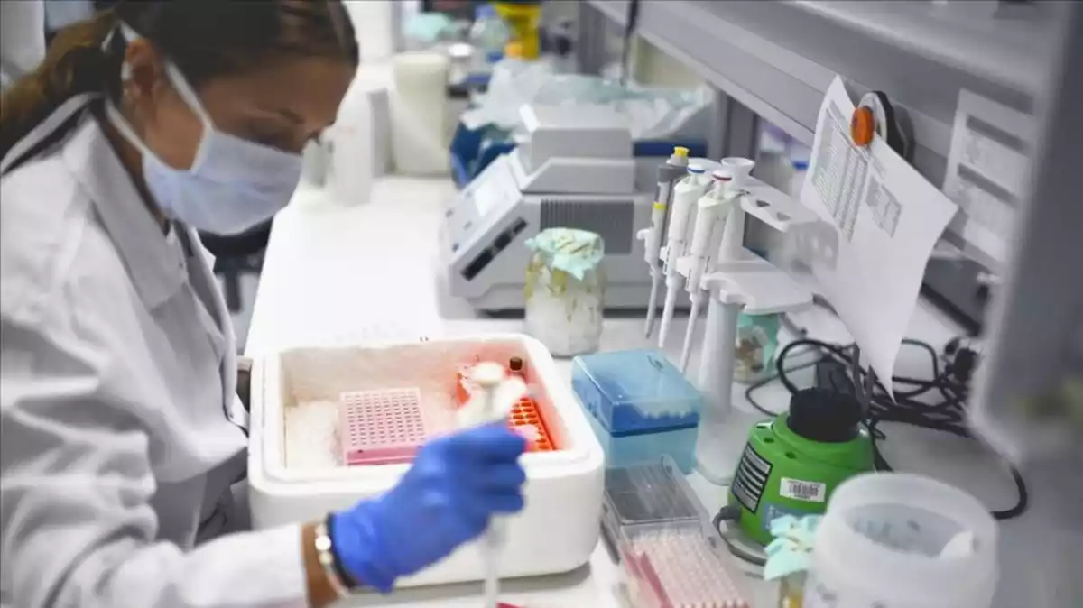 Una investigadora manipula mostres de coronavirus en un projecte d'investigació a l'Hospital Universitari de La Paz, a Madrid
