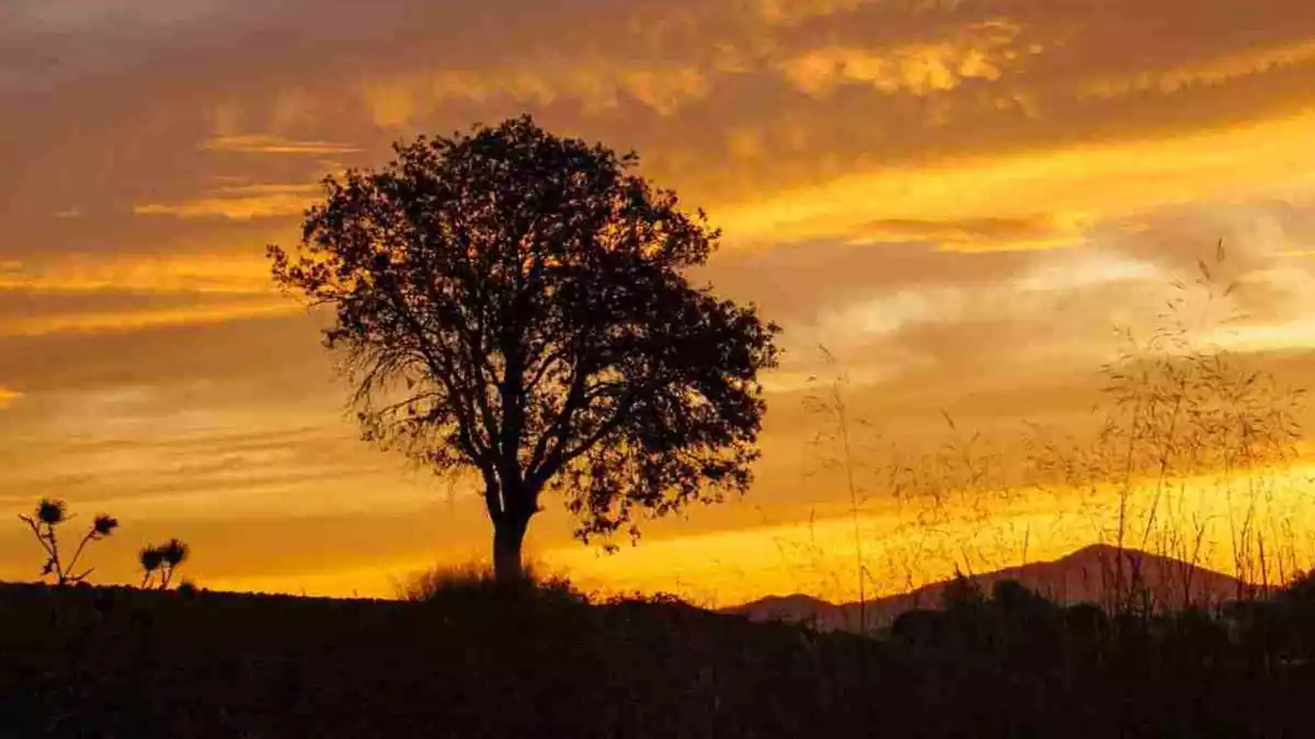 Imatge d'una posat de sol rogenca a Catalunya