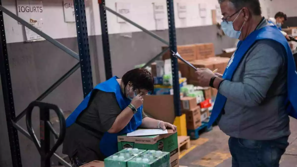 Dos voluntaris del Banc dels Aliments amb papers a la mà revisant paquets de menjar