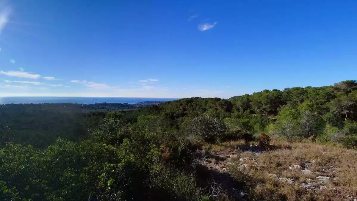 Imatge dels terrenys del pla parcial de la Budellera, a Tarragona