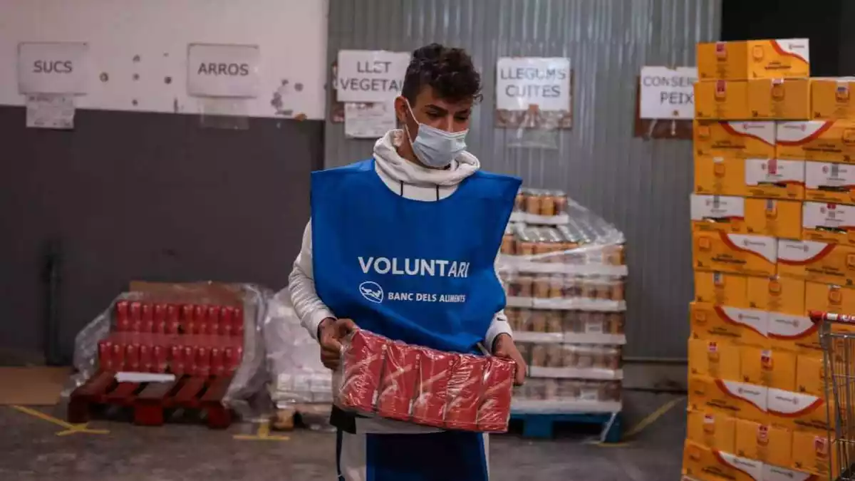 Un voluntari del Banc dels Aliments portant paquets de menjar al magatzem