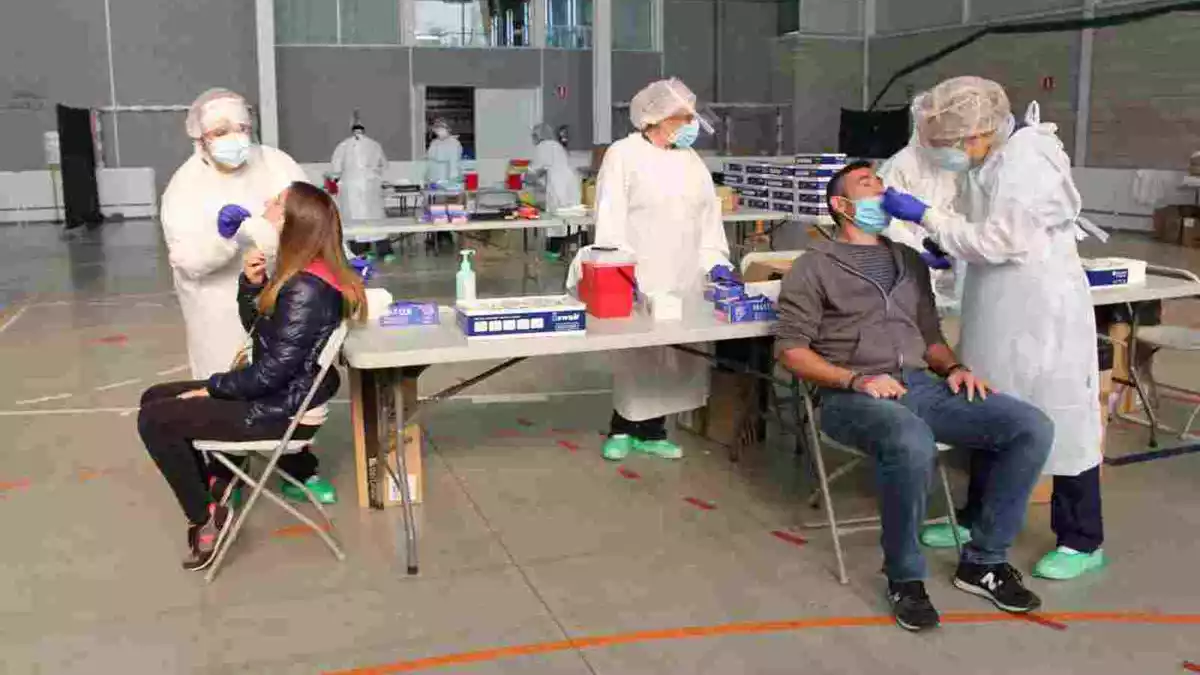 Dues persones fent-se una PCR al pavelló de Palafrugell