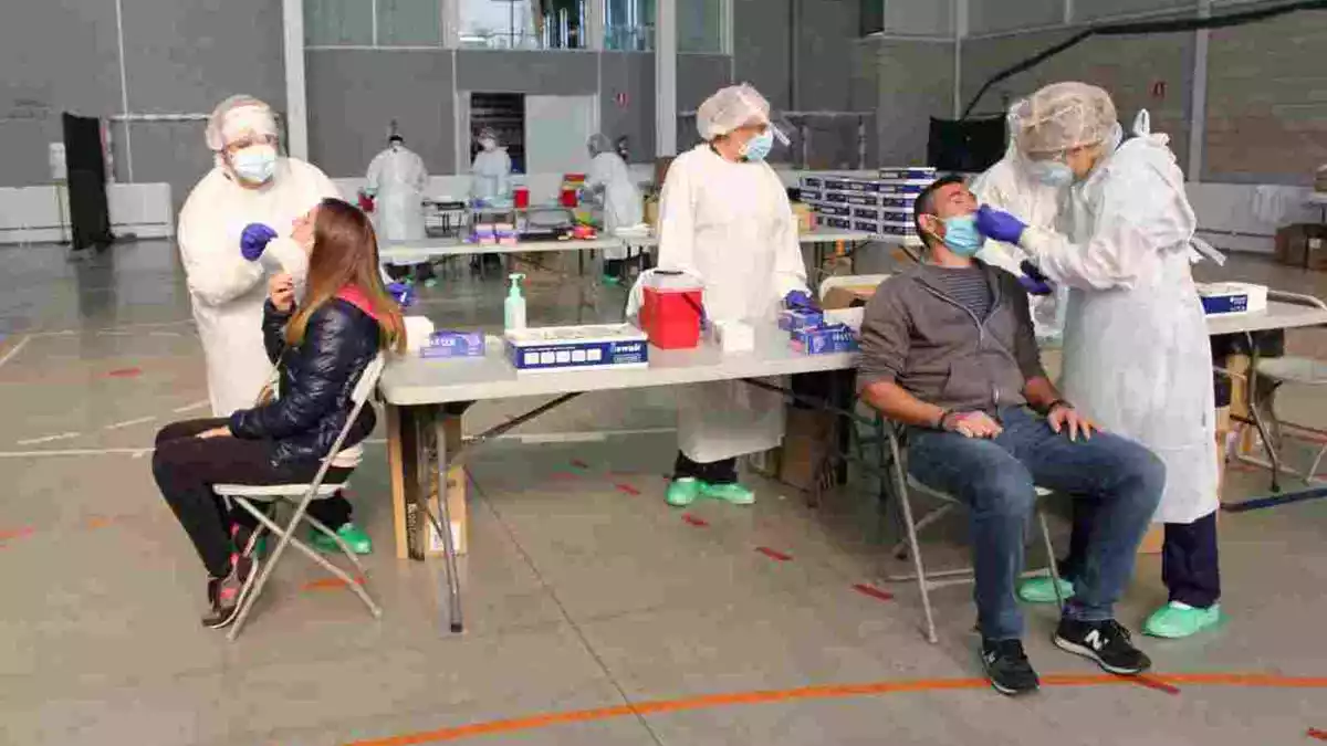 Dues persones fent-se una PCR al pavelló de Palafrugell