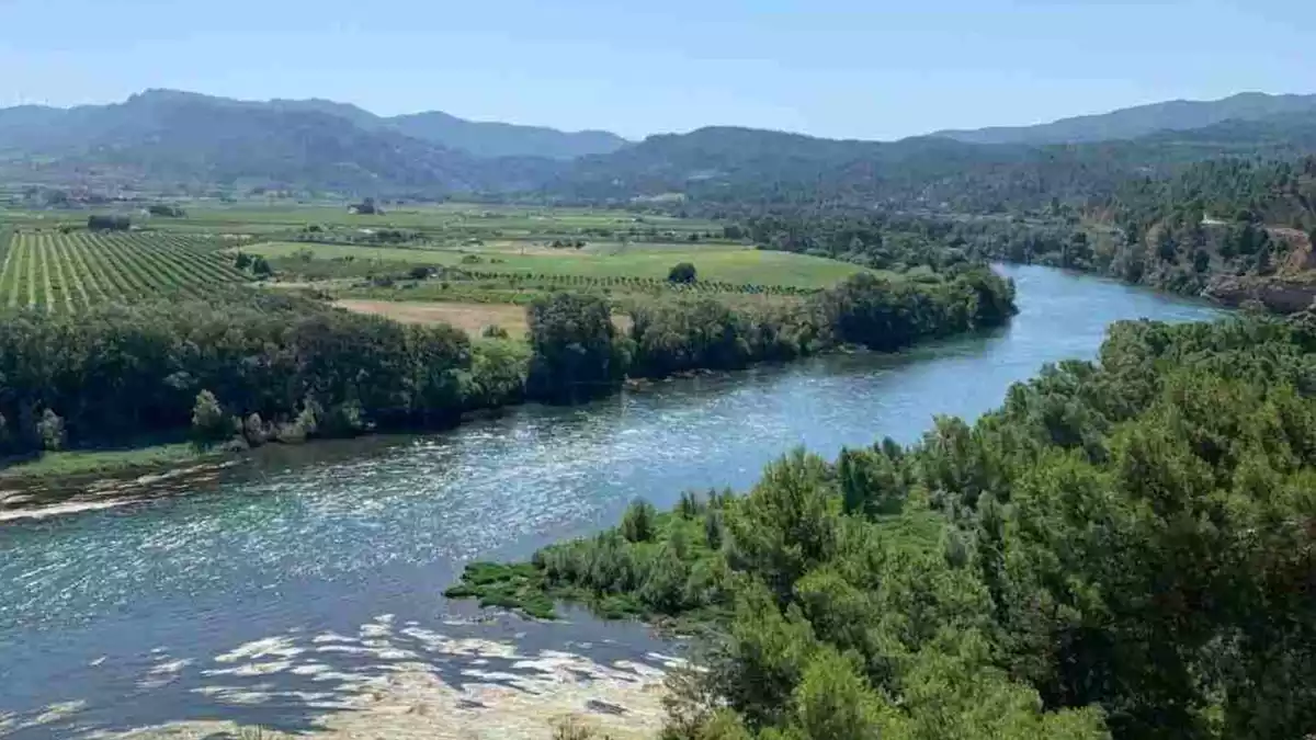 Riu Ebre des d'Ascó