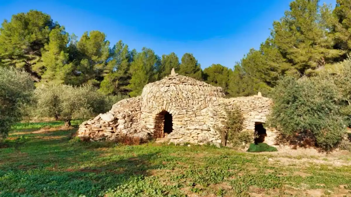 Barraca de les Oliveres del Pla de Santa Maria