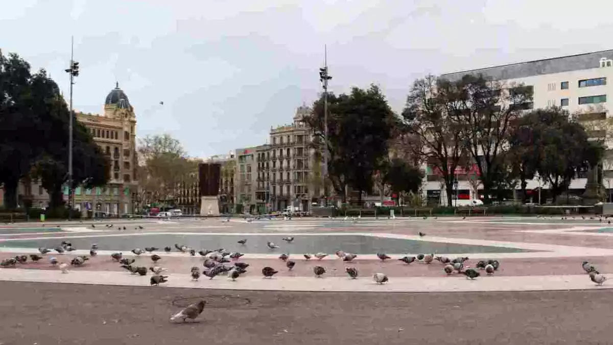 La plaça Catalunya de Barcelona