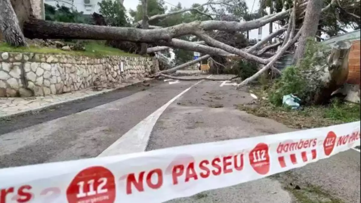 El temporal Glòria va provocar a començaments de 2020 estralls en tota la costa tarragonina.
