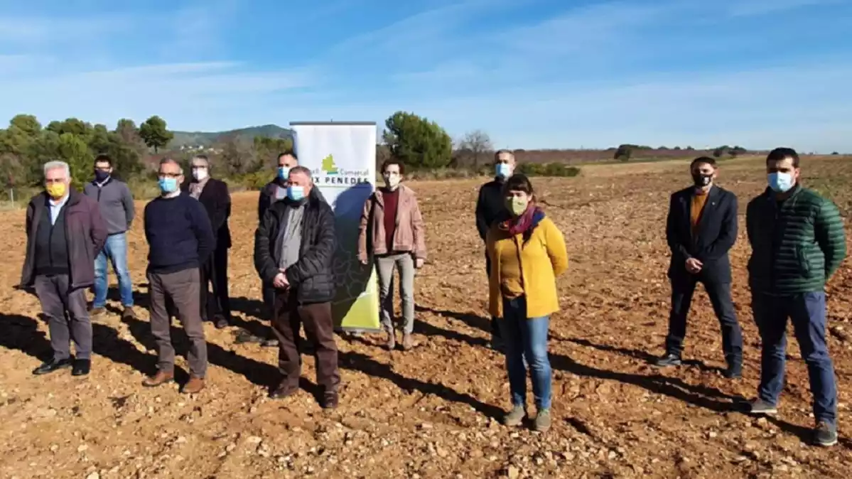 Els alcaldes del Baix Penedès, en el front comú contra les plantes fotovoltaiques.