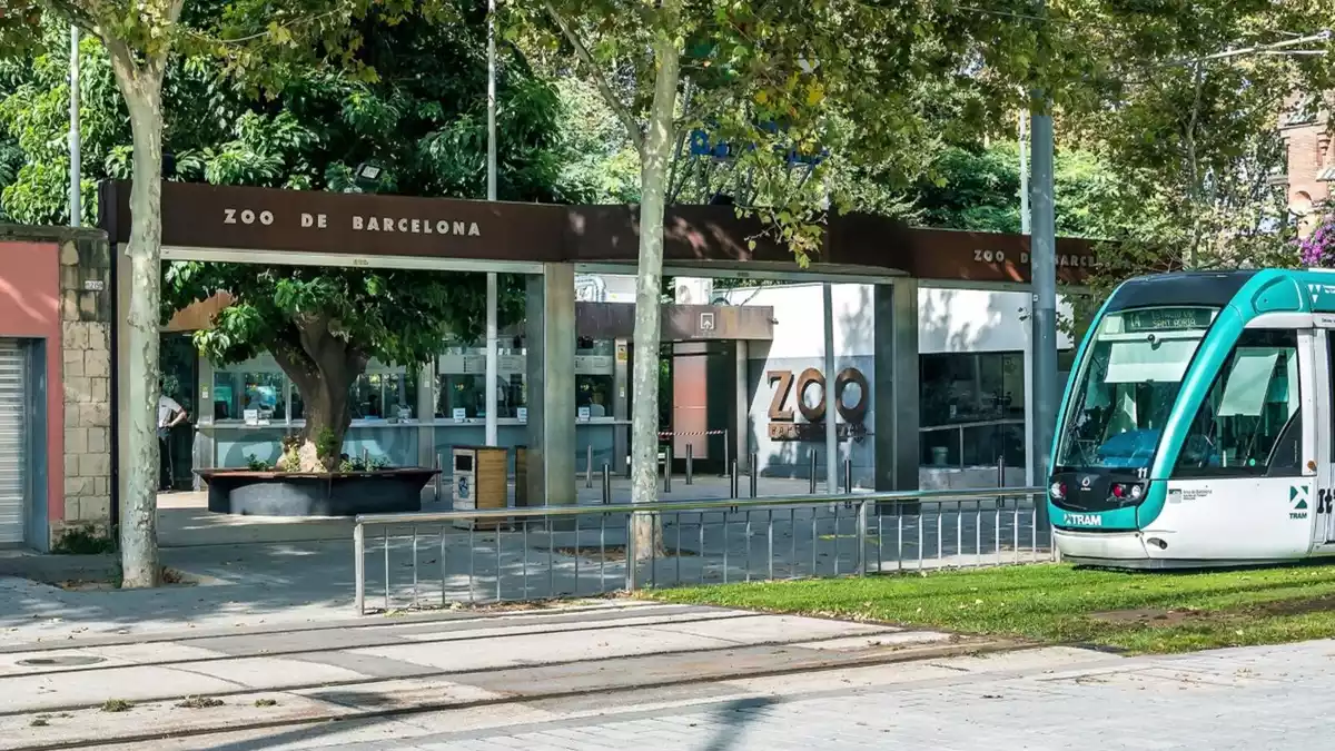 Una de les portes d'entrada al Zoo de Barcelona, amb el tramvia a la dreta de la imatge