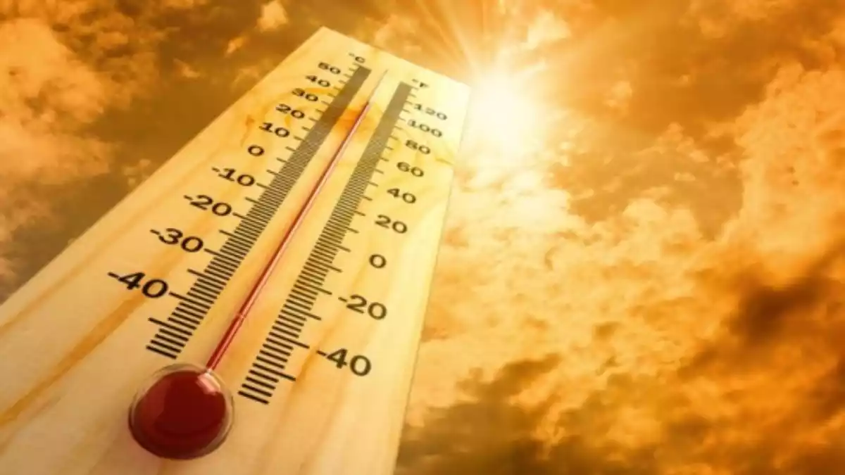 Discover termometre calor onada calor
