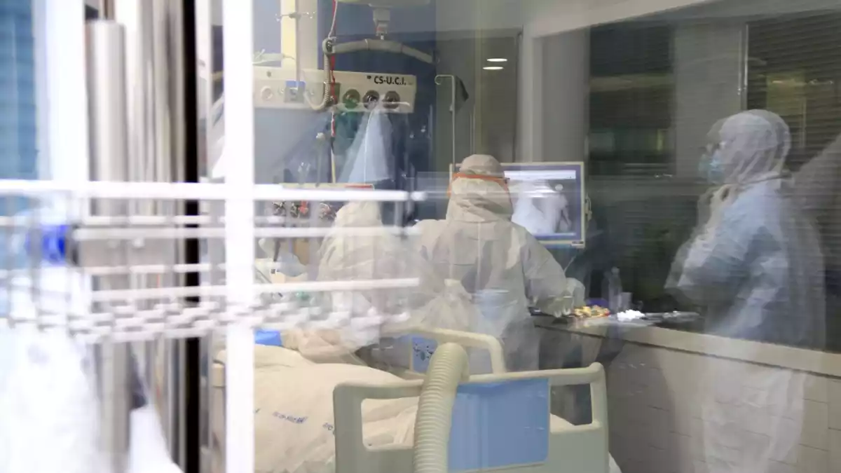 Professionals sanitaris atenent un pacient amb covid-19 en una UCI de l'Hospital del Mar, en la pandèmia de coronavirus