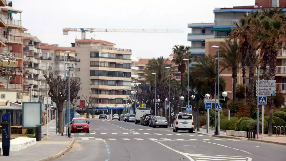 Pla general del passeig de Pau Casals, a la Pineda (Vila-seca)