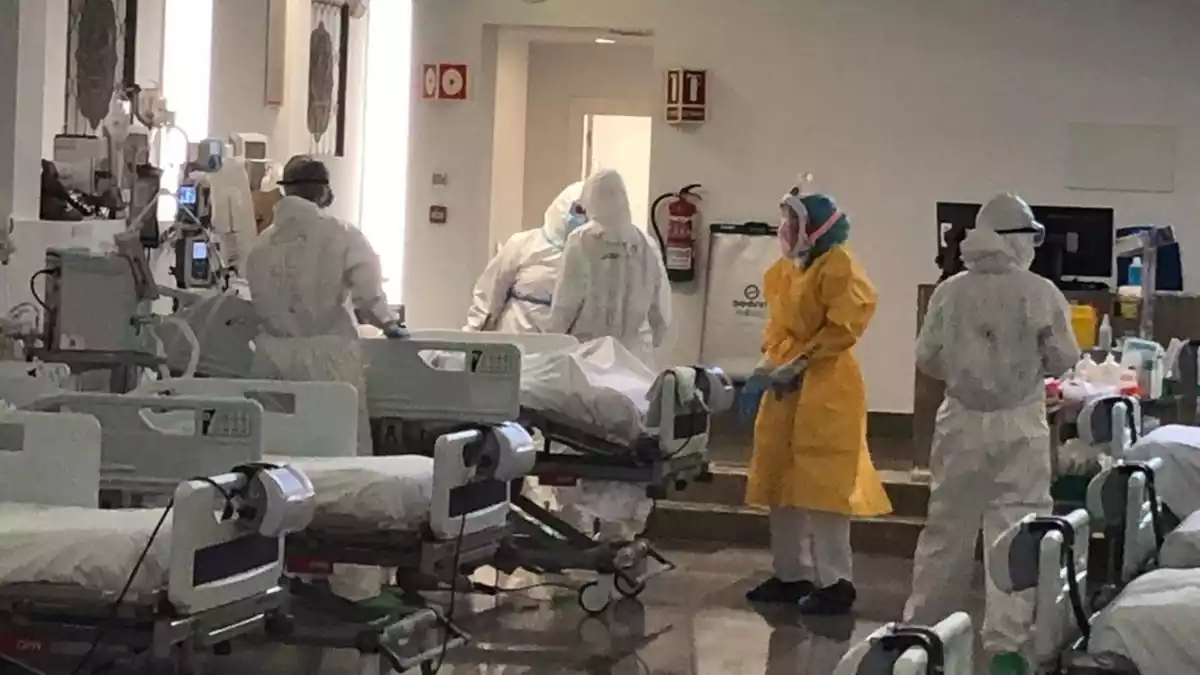 Treballadors d'una unitat de cures intensives en un hospital d'Andalusia