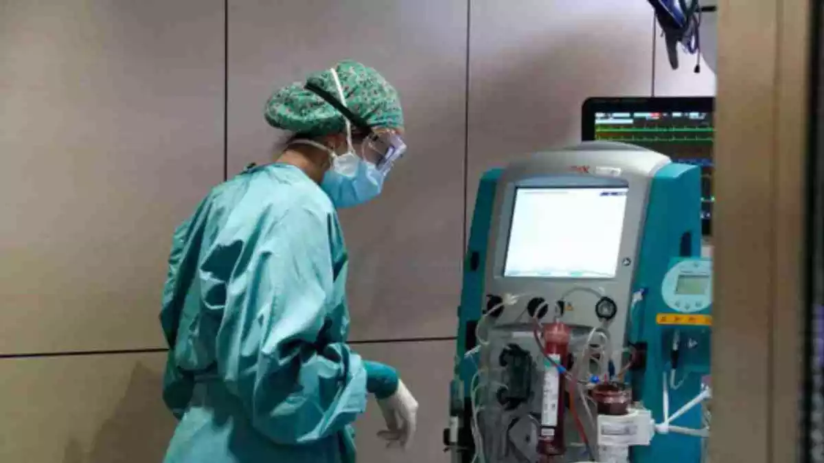 Pla general d'una infermera mirant-se una màquina amb el filtre Seraph 100 després de ser utilitzat per filtrar la sang d'un pacient amb covid-19