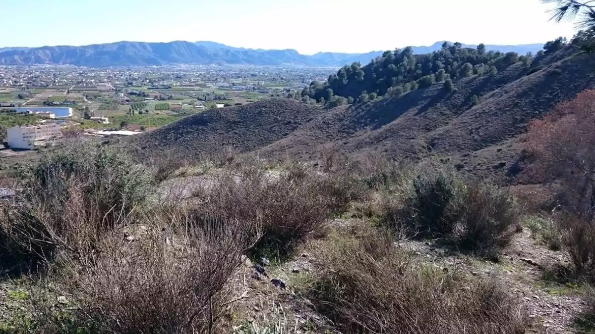 Imagen de Montepinar, desde donde se puede ver Monteagudo