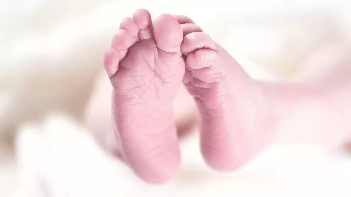 Imagen de los pies de un bebé recién nacido