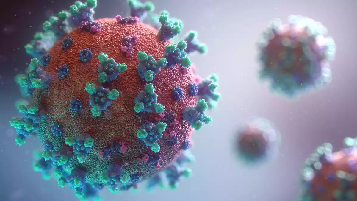 Imagen del Coronavirus a través del microscopio