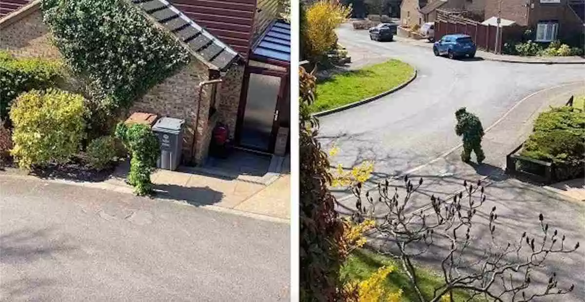 Un hombre de Reino Unido se disfraza de arbusto para saltarse el confinamiento