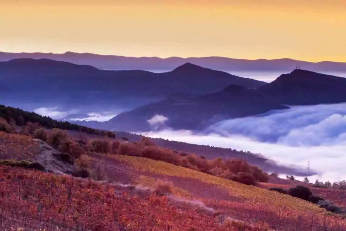 Paissatge dels Pallars Jussà