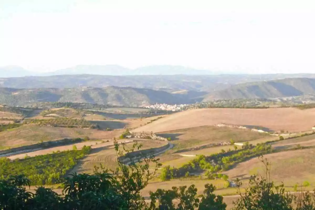 Panorama de la Segarra des de Vicfred
