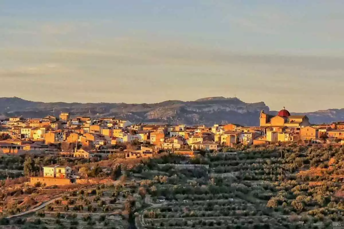 Vista del poble del Masroig envoltat de vinya, al Priorat