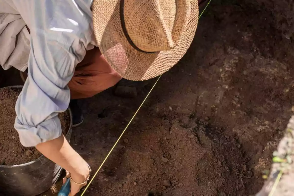 Arqueólogo excavando