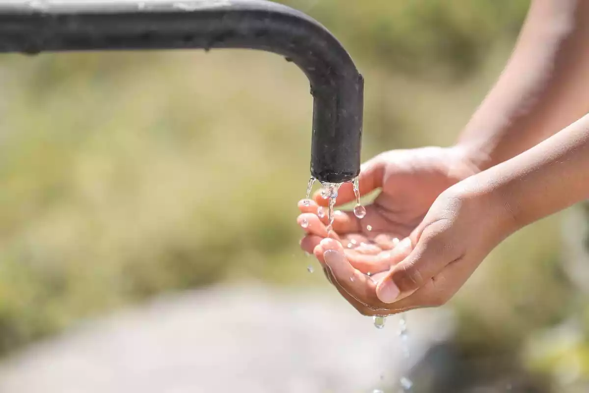 Manos cogienda agua de una fuente