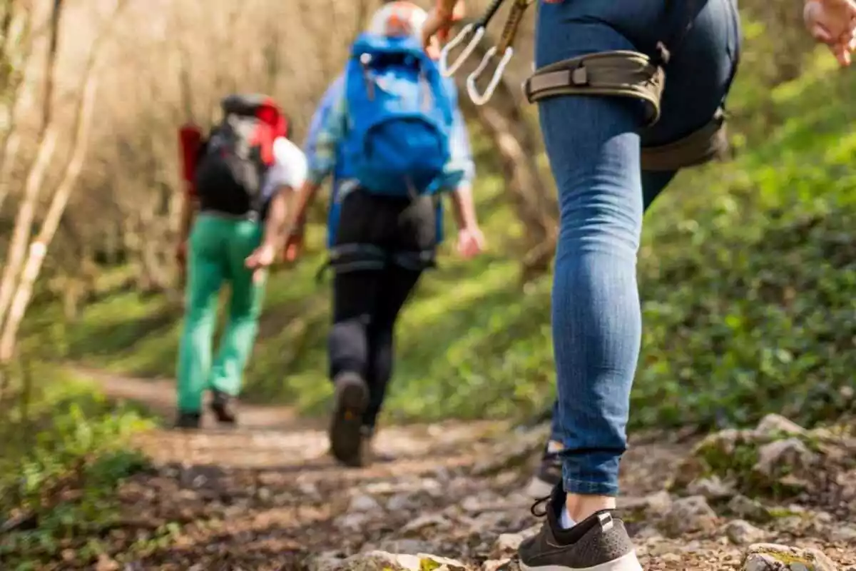 Personas caminando por la montaña