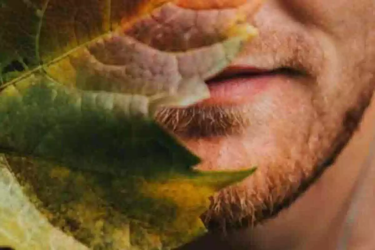 Imatge d'un home olorant una fulla