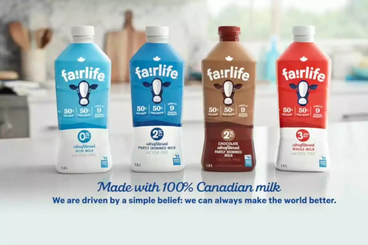 Quatre envasos de llet Fairlife de diferents varietats i colors estan alineats sobre una taula en una cuina moderna, amb el missatge fet amb llet canadenca al davant. Quatre envasos de llet Fairlife de diferents varietats i colors estan alineats sobre una taula en una cuina moderna, amb el missatge fet amb llet canadenca al davant.