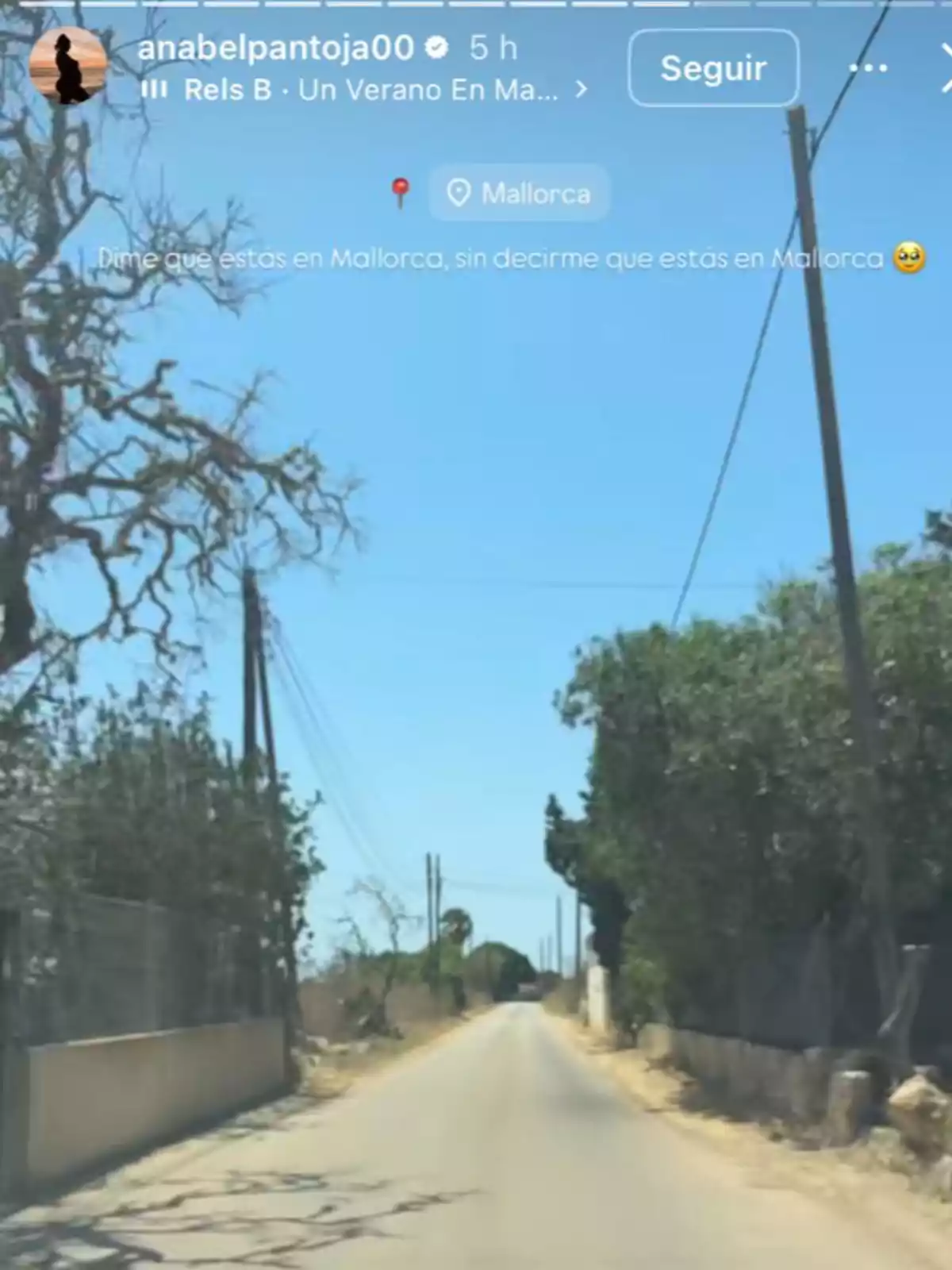 Carretera rural estreta envoltada d’arbres i vegetació sota un cel serè en un dia assolellat Carretera rural estreta envoltada d’arbres i vegetació sota un cel serè en un dia assolellat