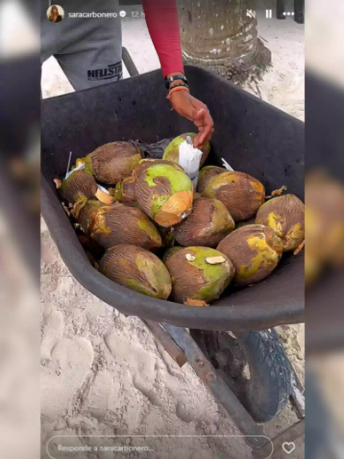 Carretó ple de cocos frescos sobre la sorra amb una persona agafant-ne un, en una imatge presa per Sara Carbonero.
