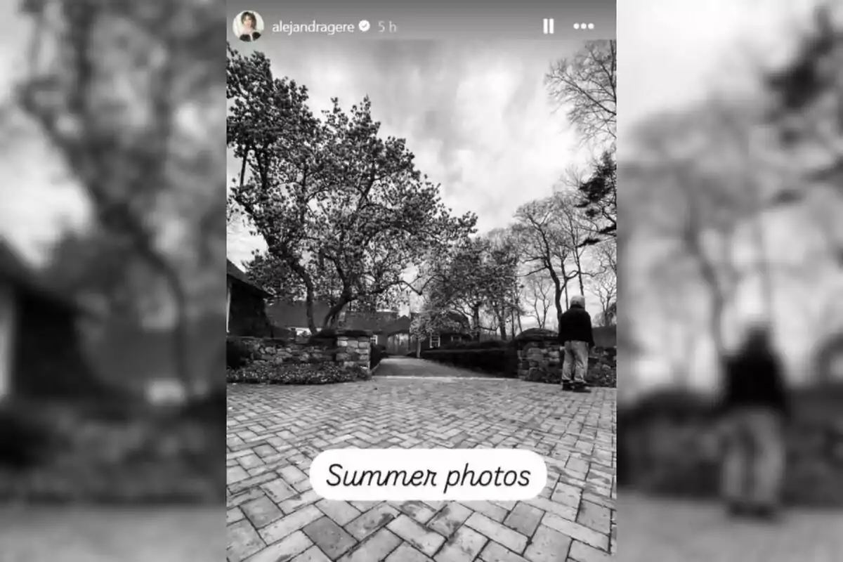 Black and white photograph of a cobblestone path surrounded by trees and a person standing in the background Black and white photograph of a cobblestone path surrounded by trees and a person standing in the background