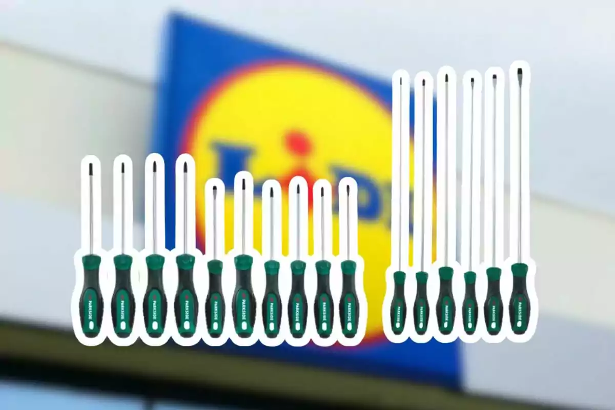 Un joc de tornavisos amb mànecs verds i negres és davant d’un cartell borros de la botiga Lidl Un joc de tornavisos amb mànecs verds i negres és davant d’un cartell borros de la botiga Lidl