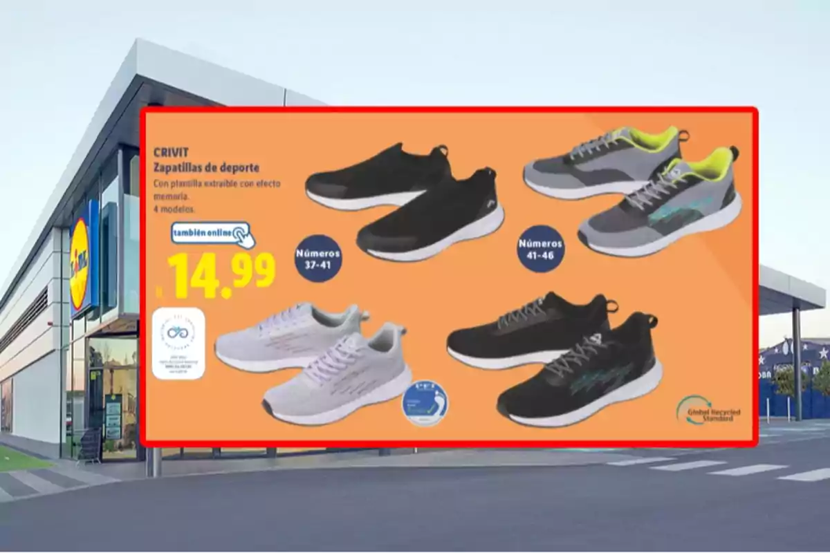 Publicitat de sabatilles esportives Crivit en una botiga Lidl mostrant quatre models diferents amb preus i talles disponibles Publicitat de sabatilles esportives Crivit en una botiga Lidl mostrant quatre models diferents amb preus i talles disponibles