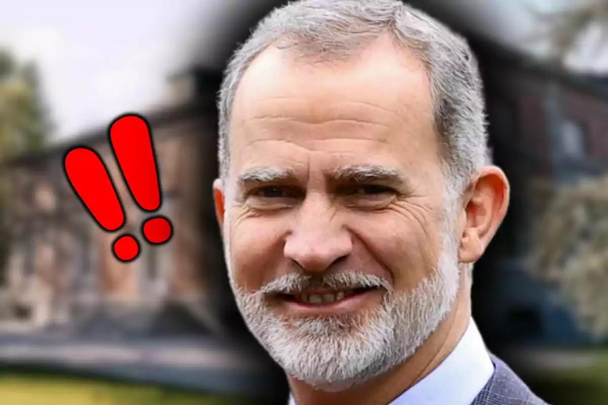 Muntatge de fotos en primer pla de Felip VI somrient amb una imatge del palau de la Zarzuela de fons.
