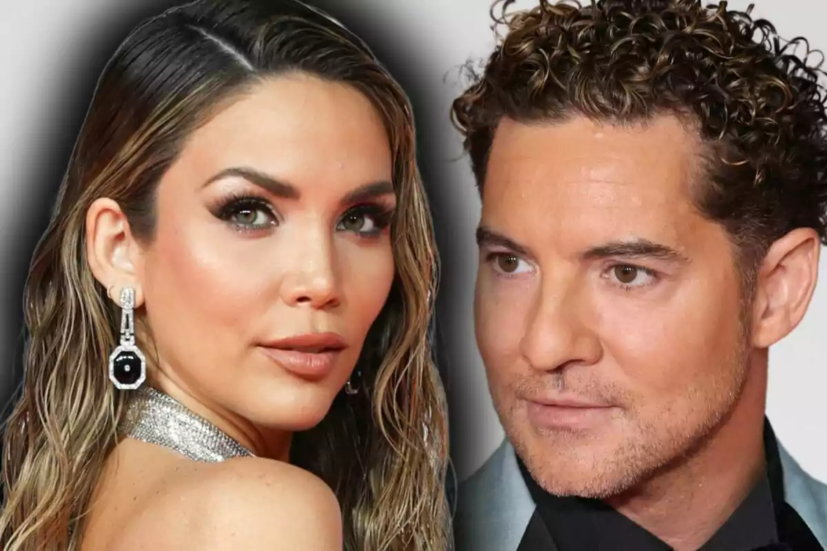 Muntatge de fotos en primer pla de Rosanna Zanetti i David Bisbal, tots dos amb el rostre seriós.
