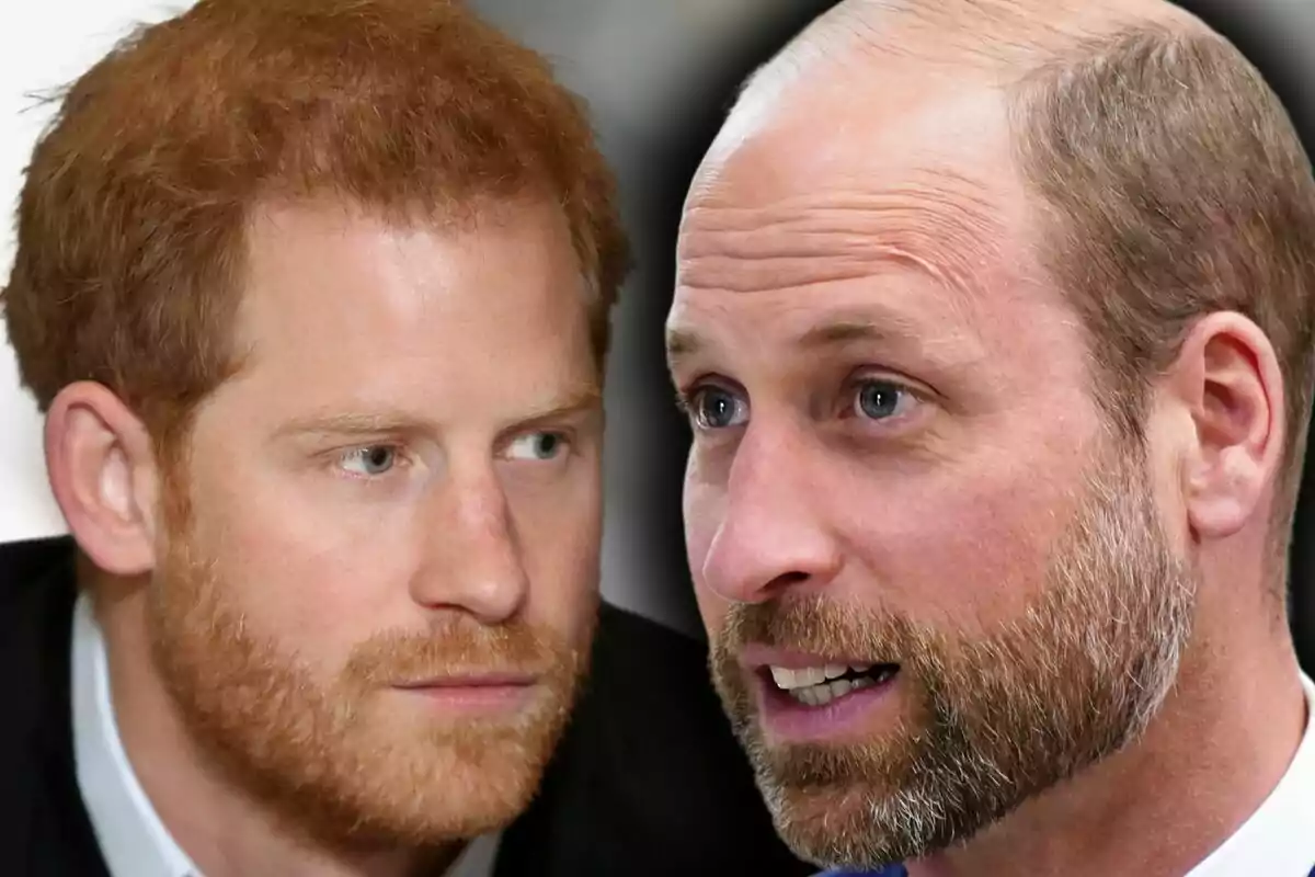 Close-up photo montage of Prince Harry and Prince William, both with serious expressions.