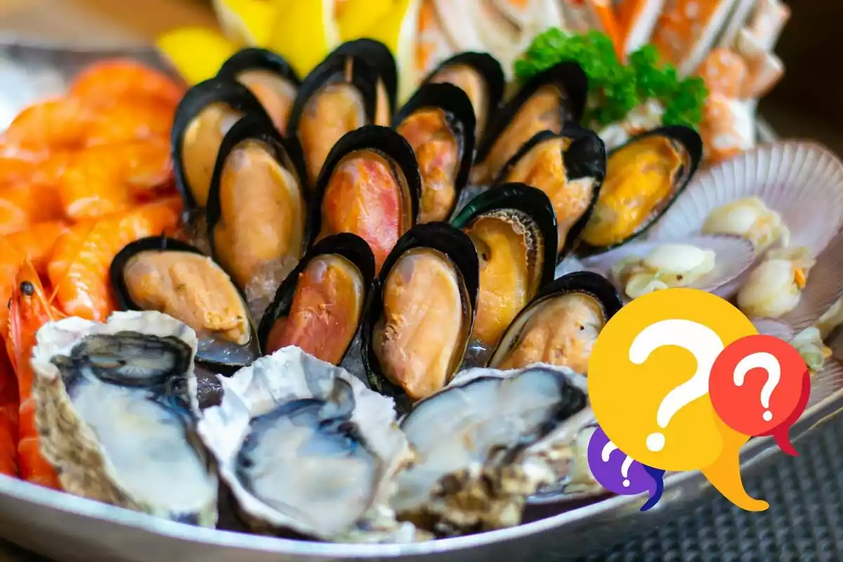 A plate of assorted seafood with mussels, oysters, shrimp, and clams, accompanied by a graphic of question marks in the lower right corner.