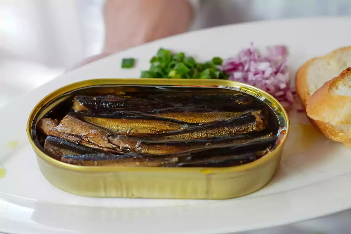 Can of sardines in oil served with bread, chopped red onion, and chives on a white plate Can of sardines in oil served with bread, chopped red onion, and chives on a white plate