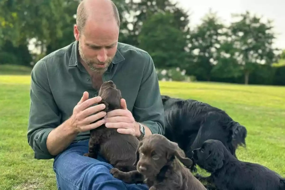 Prince William sitting on the grass petting a brown puppy while other dogs play around him in a park. Prince William sitting on the grass petting a brown puppy while other dogs play around him in a park.