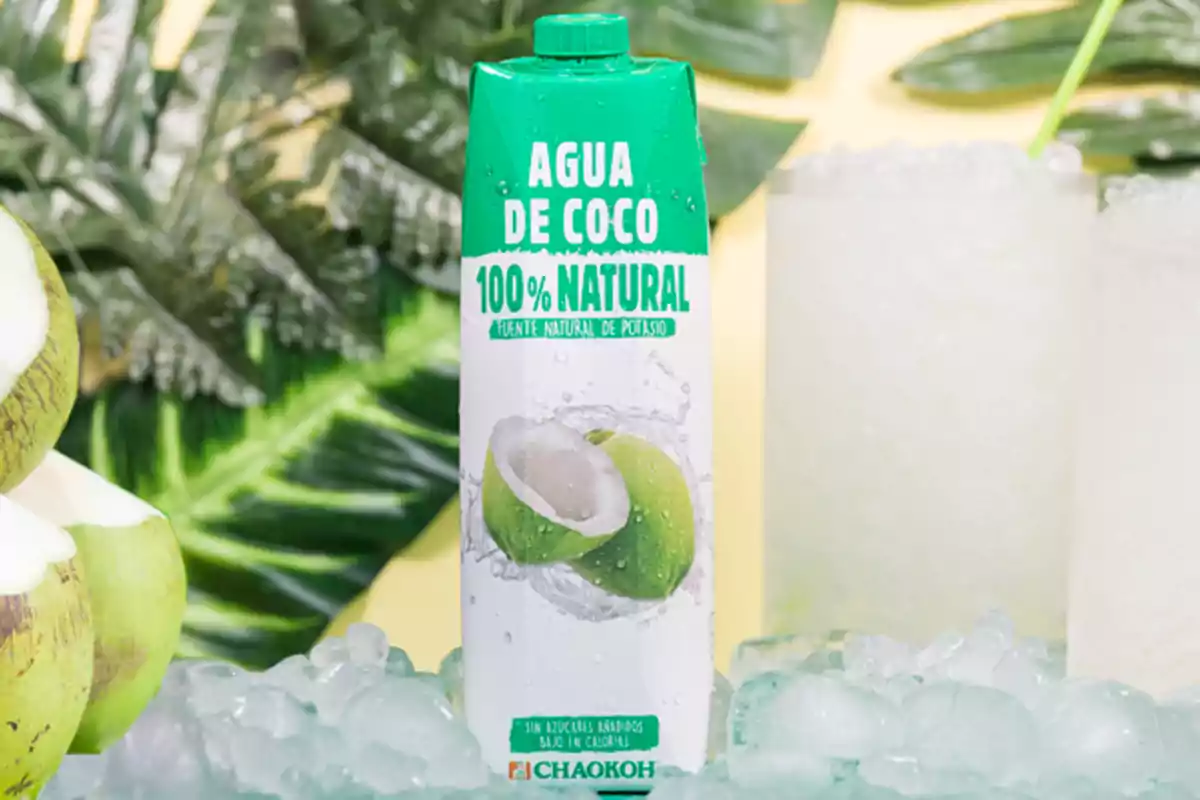 Envàs d’aigua de coco 100% natural sobre una superfície amb gel envoltat de cocos i fulles verdes Envàs d’aigua de coco 100% natural sobre una superfície amb gel envoltat de cocos i fulles verdes